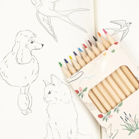 COLORING BOOK AND CRAYONS